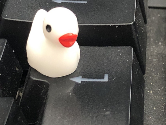 Plastik-Ente auf Enter-Taste